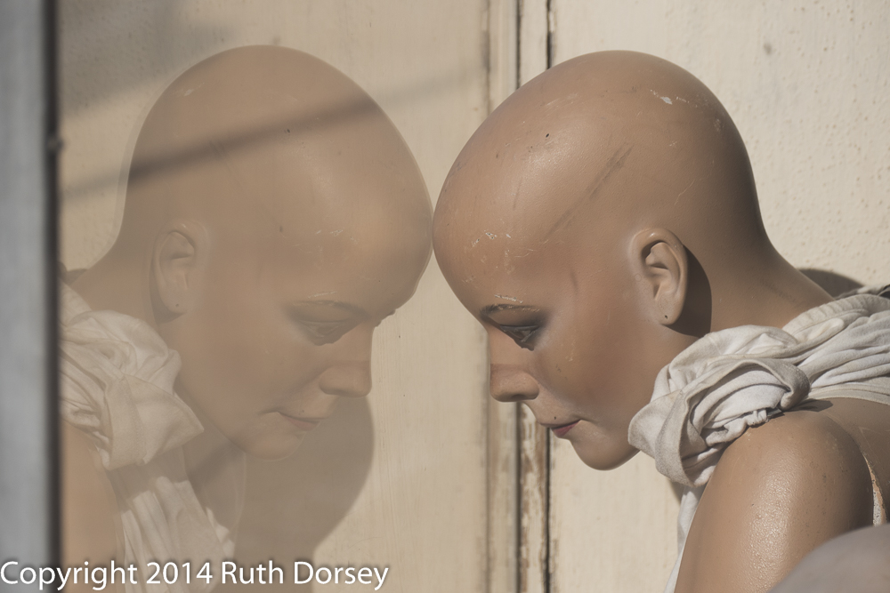 24195750025_7c646d822d_o