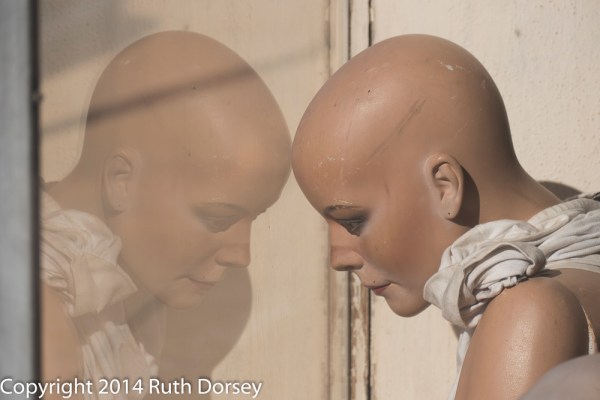 24195750025_7c646d822d_o