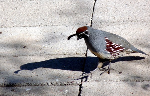 4134012381_df53d42226_o